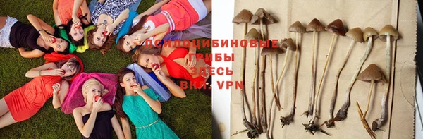 кокаин Алексеевка