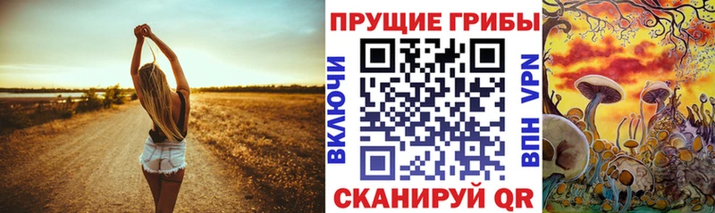 блэк спрут ССЫЛКА  Клин  Галлюциногенные грибы Magic Shrooms 