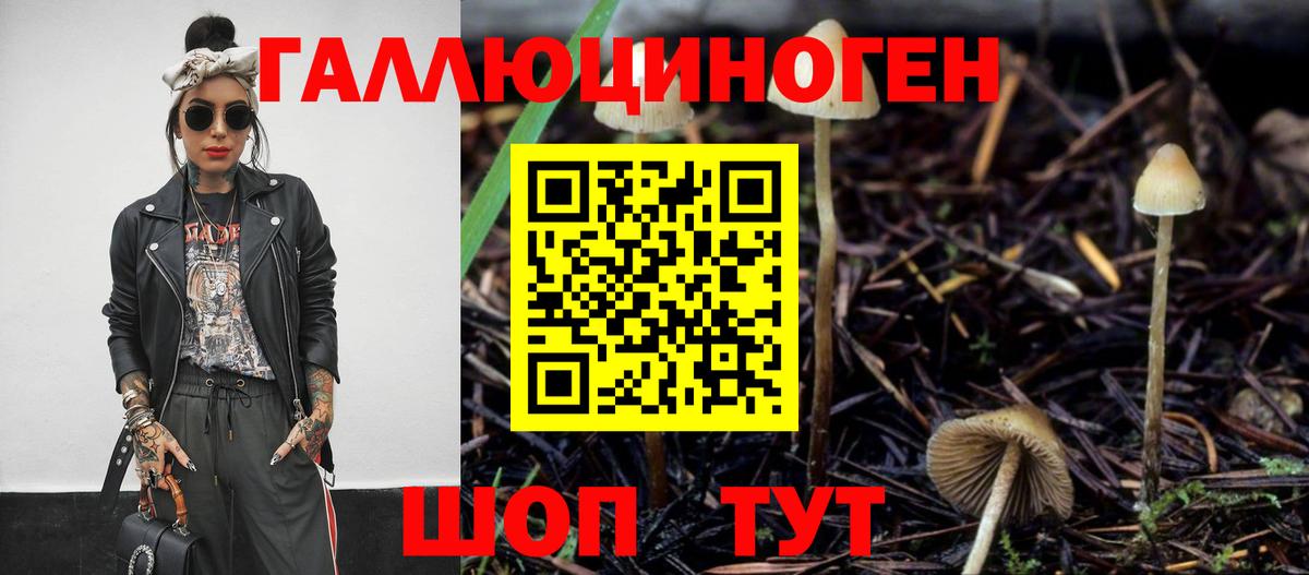 Галлюциногенные грибы Psilocybe Клин