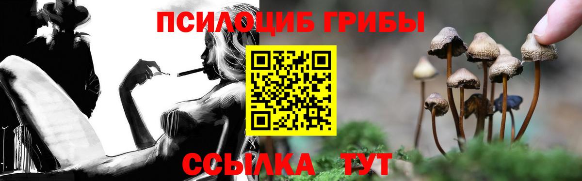 Галлюциногенные грибы мицелий  Вход с VPN  где купить наркотик  Клин 